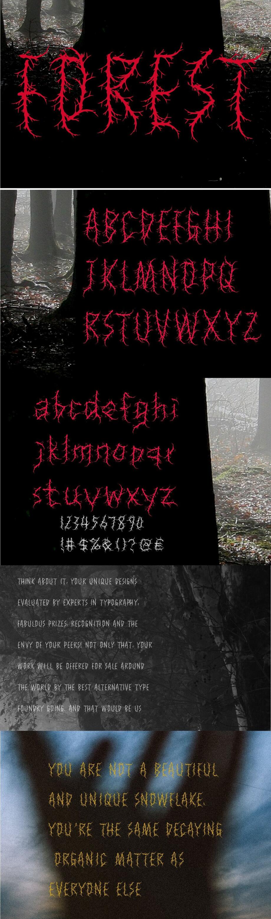 XC Forest字体海报长图